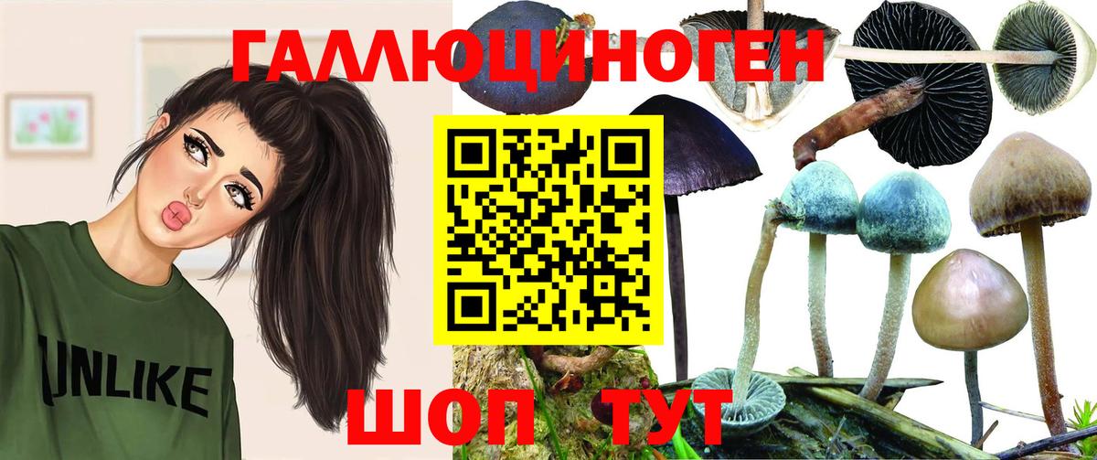 Псилоцибиновые грибы Magic Shrooms Наро-Фоминск